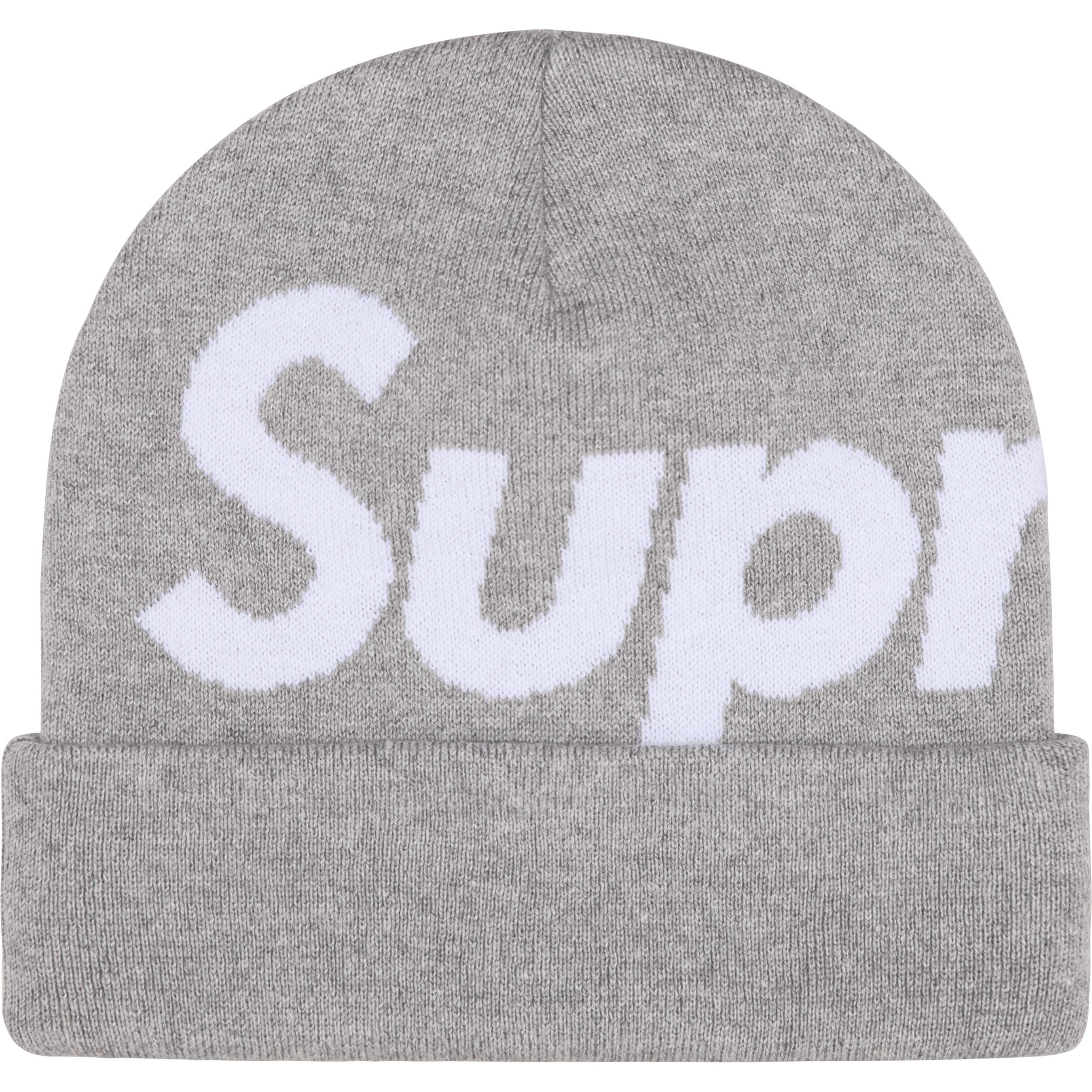 Big Logo Beanie view 6